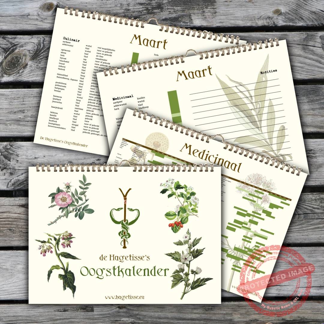de hagetisse's oogstkalender voorbeeld