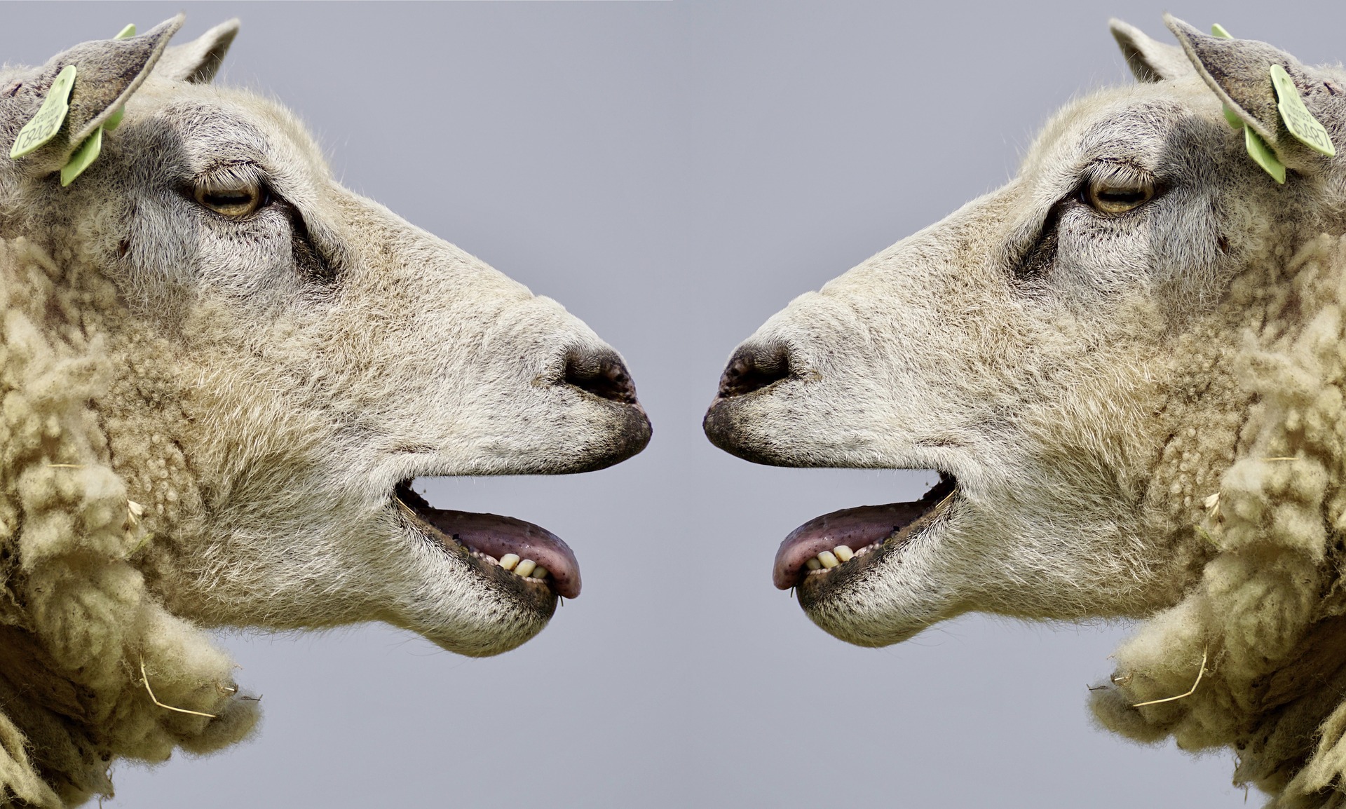 3-geen-mening-is-ook-een-mening